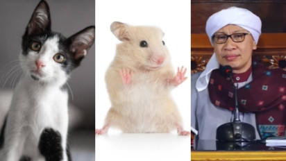Meski Menggemaskan, Tolong Mulai Sekarang Jangan Pelihara Hewan ini di Rumah, Buya Yahya: Bikin Rugi Uang