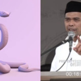 Tolong jika Ada Ular Masuk Rumah Lakukan ini, Tak Perlu Langsung Panggil Damkar, Kata Ustaz Abdul Somad agar Bisa Jadi Bisnis