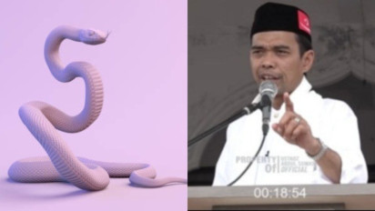 Tolong jika Ada Ular Masuk Rumah Lakukan ini, Tak Perlu Langsung Panggil Damkar, Kata Ustaz Abdul Somad agar Bisa Jadi Bisnis