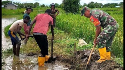 Pakar UGM Yakin Program Cetak Sawah Merauke Sukses: Potensi Sangat Bagus