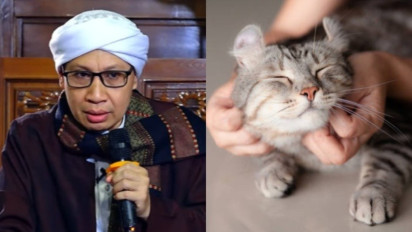 Meski Suka Pelihara di Rumah, Tolong Jangan Pernah Menggendong Kucing karena Ada Tanda-tanda ini Kata Buya Yahya