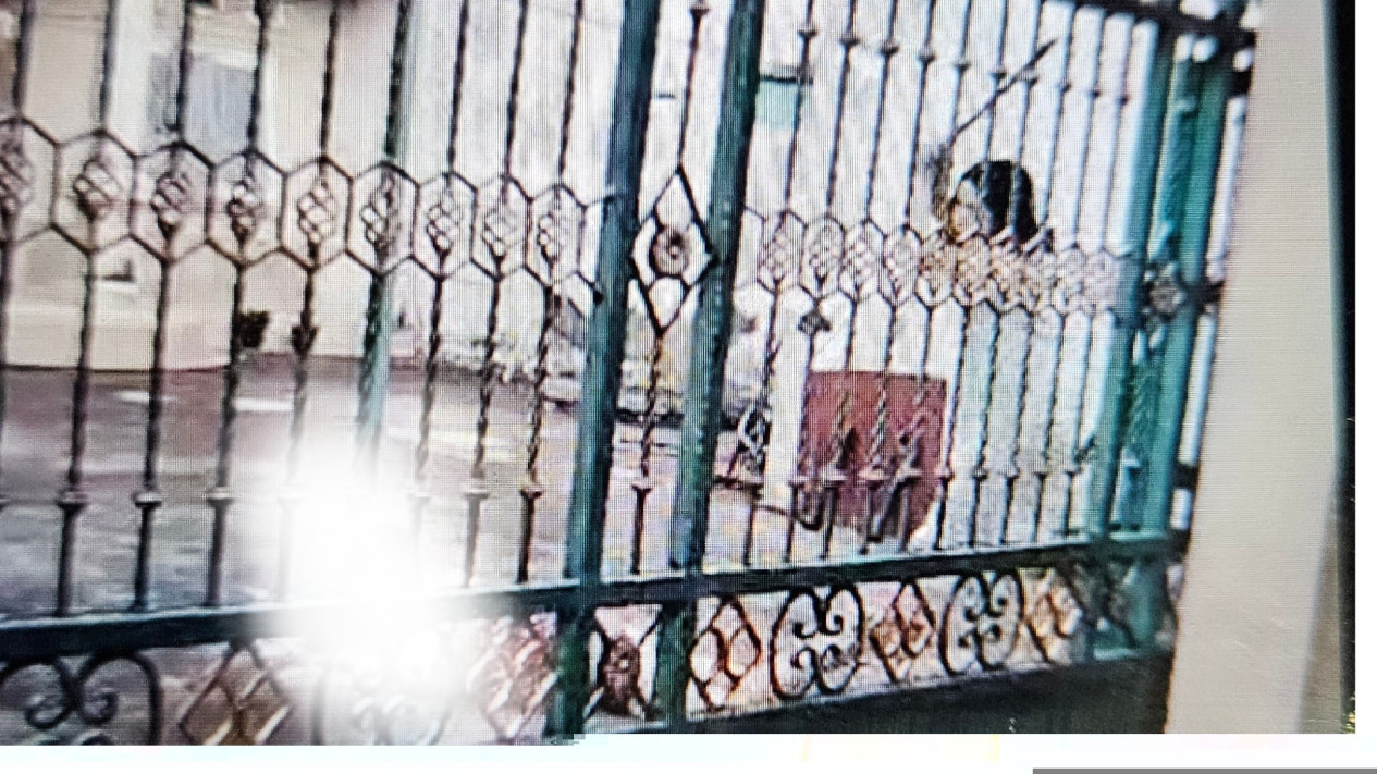 Detik-detik Perempuan Tebas Leher Ibu Kandung di Makassar Ditonton Warga Hingga Anak Kecil, Tampang Pelaku Jadi Sorotan
            - galeri foto