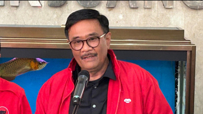 PDIP Tegaskan Pemecatan Tia Rahmania Bukan karena Kritik Pimpinan KPK