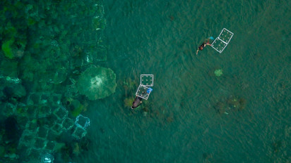 Serius Kelola Terumbu Karang, PNM Turut Ciptakan Peluang Ekonomi Baru di Pantai Bangsring Banyuwangi