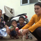 Fenomena Aneh Ayam Ini Masih Hidup Padahal Sudah Dua Hari Disembelih, Warga Kaitkan dengan Hal Mistis