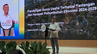 Kadin Apresiasi Kinerja Kementerian Perindustrian, Anindya Bakrie: Ini tidak Main-main