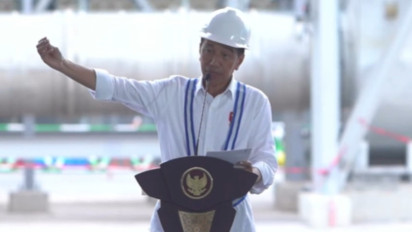 Biang Kerok Harga Beras Mahal Dibocorkan Presiden Jokowi