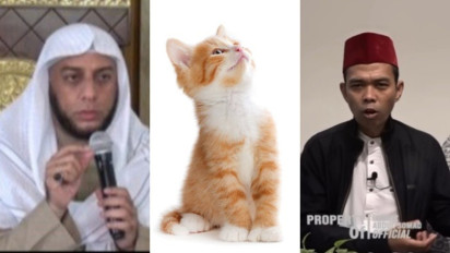 Bukan Cuma Syekh Ali Jaber, Ustaz Abdul Somad Ingatkan Jangan Pelihara Kucing di Rumah, Bisa Masuk ini jika Lakukan...