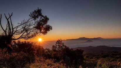 Menikmati Keindahan Pesona Negeri di atas Awan, Bukit 29 Jadi Wisata Andalan Lumajang
