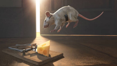 Ada Kabar Buruk jika Tikus Diam-diam Singgah di Rumah Tolong Banyak Istighfar, Ustaz Khalid Basalamah Ungkap Penyebabnya