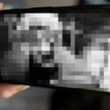 Video Syur 13 Menit Diduga Mahasiswa KKN di Lombok Beredar di WhatsApp, Polisi Telusuri dan Minta Konten Tidak Disebarkan