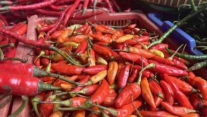 Bapanas: Hari ke-4 Puasa Harga Cabai Rawit Rp68.836/kg, Telur Rp31.889/kg