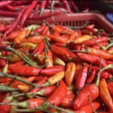 Harga Cabai Melonjak, Telur dan Beras Stabil: Update Harga Pangan Nasional Berdasarkan PIHPS