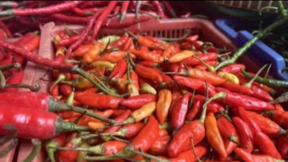 Harga Cabai Melonjak, Telur dan Beras Stabil: Update Harga Pangan Nasional Berdasarkan PIHPS