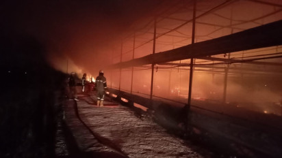 Kandang Ternak di Klaten Ludes Terbakar, 40 Ribu Ayam Mati Terpanggang