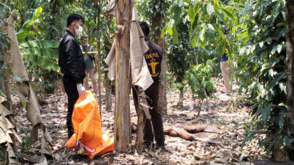 Geger! Penemuan Mayat Anonim Mengering di Kebun Pagelaran Pringsewu, Polisi Evakuasi dan Selidiki