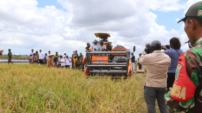 Masyarakat Merauke Panen Raya Padi Seluas 14.000 Hektar Hasil Optimasi Lahan Kementan