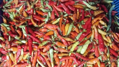 Harga Cabai, Bawang, Beras, Daging Ayam hingga Minyak Goreng Terus Anjlok 