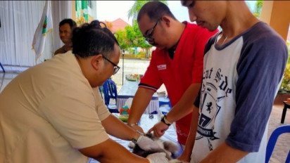 Cegah Penularan Virus Rabies ke Hewan Ternak, Papua Barat Sebar 200 Dosis Vaksin Serentak untuk Tiga Kabupaten