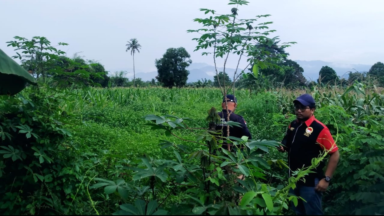 Mafia Tanah Semakin Marak di Kotamobagu, Polisi Diminta Tegak Lurus
            - galeri foto