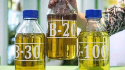 Kemenhub Dorong Penggunaan BBM Campur Kelapa Sawit untuk Industri Penerbangan dan Perkapalan