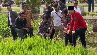 Tri Rismaharini, akan Replikasi Sistem Pertanian Geo Memberan di Jawa Timur