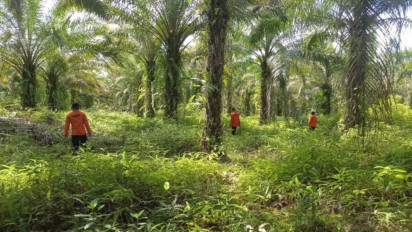 Seorang Lansia Hilang Misterius Dalam Kebun Sawit di Konawe Utara