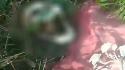 Tengkorak Manusia Ditemukan di Hutan Kapuas Diduga Mahasiswa ULM yang Hilang Lima Bulan Lalu, Kaos dan Jeans Masih Melekat