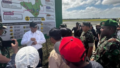 Kemenhan Genjot Pengembangan Food Estate di Papua