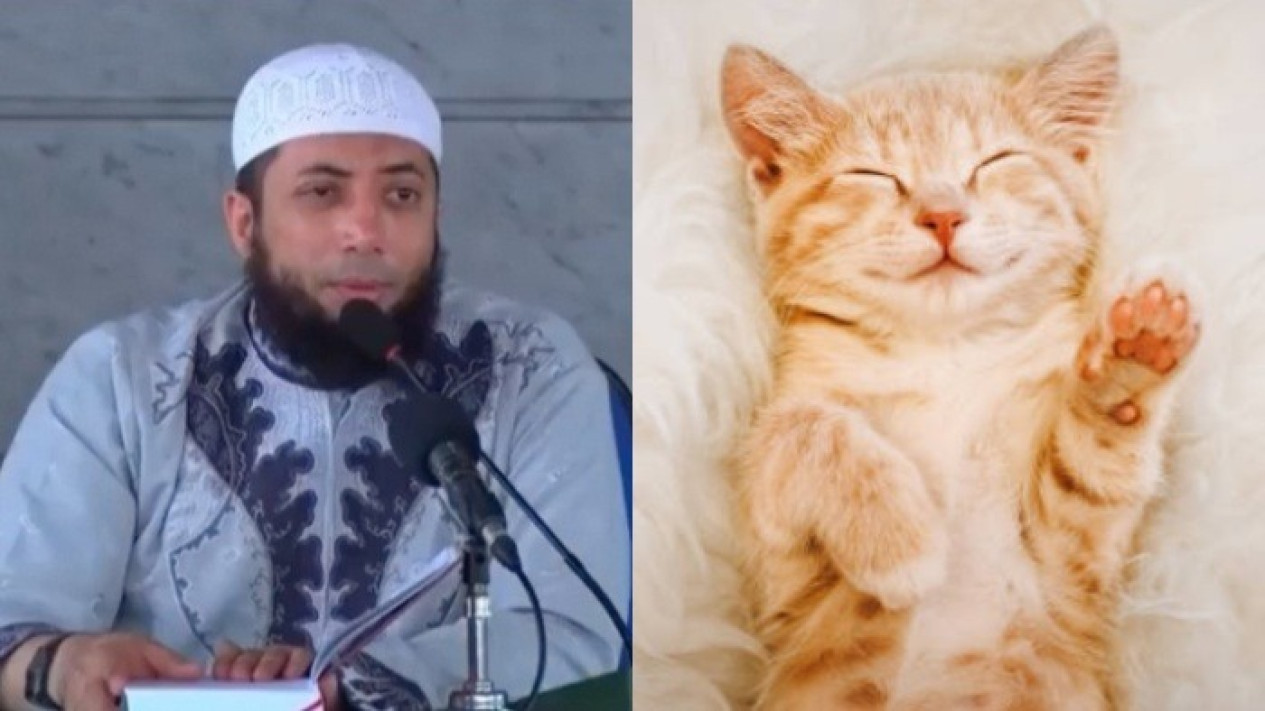 Suka Pelihara Kucing dalam Rumah karena Imut dan Lucu, Ustaz Khalid Basalamah Sarankan Jangan Gegara Ada Tanda ini
            - galeri foto