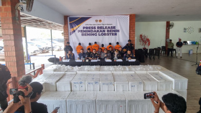 Bea Cukai Batam Ringkus 6 Orang Penyelundup Ratusan Ribu Bibit Lobster Asal Lampung