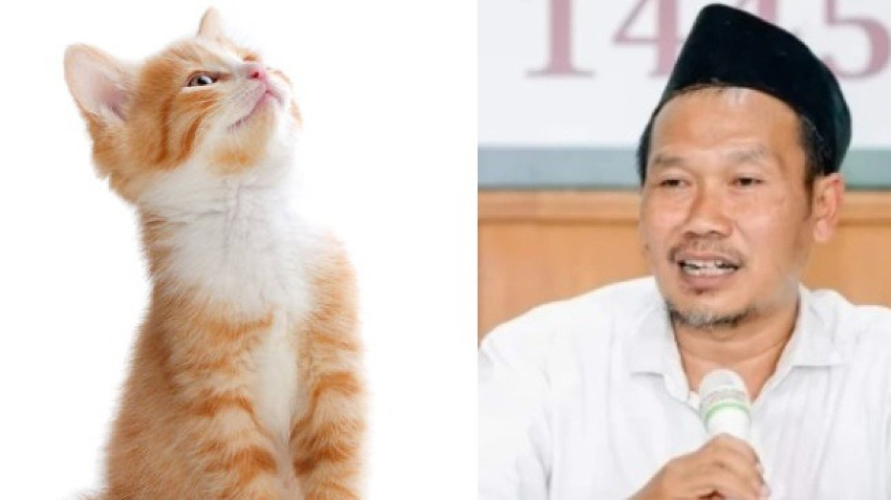 Benarkah Sedekah ke Kucing bakal Meraih Guyuran Rezeki dari Allah SWT? Gus Baha Jelaskan secara Gamblang
            - galeri foto