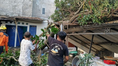 Angin Kencang di Sleman Timbulkan Sejumlah Kerusakan, BPBD Salurkan Bantuan