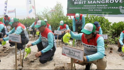 Prajurit Mangrove Pembawa Berkah Masyarakat Pesisir