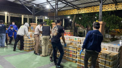 Petugas Gabungan Gagalkan Penyelundupan 6.514 Ekor Burung Ilegal di Bakauheni