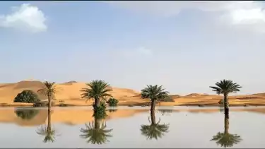 Potret Gurun Sahara mengalami banjir langka dianggap tanda-tanda hari Kiamat
