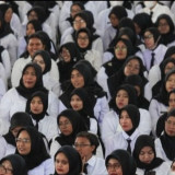 Resmi Diumumkan! Berikut Link Download Hasil SKD CPNS Kemendikbud 2024 Pdf Lengkap, Beserta Tahapan Selanjutnya