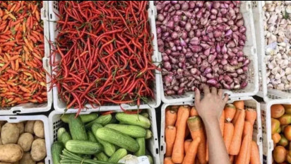 Top, Peneliti Indonesia di Jerman Ungkap Temuan Kunci Masa Depan Sistem Pangan Nasional