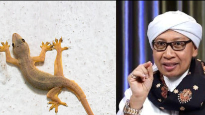 Perdebatan soal Sunnah atau Wajib Bunuh Cicak di Rumah, Bagaimana Hukum Islam? Kata Buya Yahya Ada Anjuran Ulama yang Mengatakan Sebaiknya ....