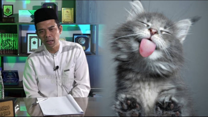 Kucing Liar Suka Masuk ke Rumah Malah Berujung Mengganggu hingga Sering Diusir, Ustaz Abdul Somad Ungkap Hukumnya