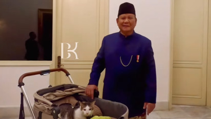 Pegang Tahta Tertinggi Perkucingan, Biaya Berobat Bobby Kertanegara Kucing Prabowo Bikin Elus Dada, Bisa Buat Makan Siang Gratis 13 Anak