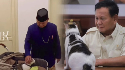 Fantastis! Segini Penghasilan Youtube Bobby Kertanegara Kucing Prabowo yang Viral Tinggal di Istana, Bisa Buat Beli iPhone 14