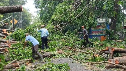 Angin Puting Beliung 'Gulung' Kota Muaraenim, Ratusan Pohon Tumbang dan Sejumlah Bangunan Rusak
