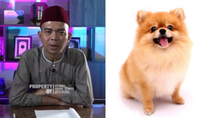 Bukan hanya Anjing, Kasih Makan Hewan ini Jadi Jaminan Penolong di Akhirat Kelak Kata Ustaz Abdul Somad