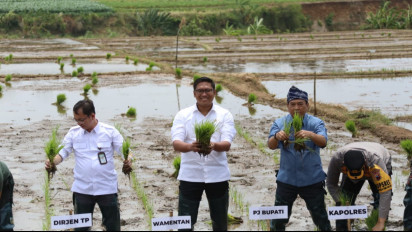 Wamentan Sudaryono: Cetak Sawah Baru Jadi Solusi Krusial untuk Perluas Area Produksi Beras