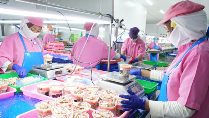 KKP Catat Surplus Ekspor Perikanan Tembus Rp60 Triliun, Permintaan Rajungan dan Udang dari Indonesia Meroket