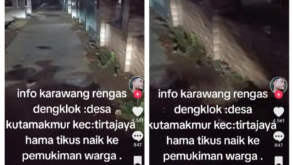 Viral! Gerombolan Tikus Serang Permukiman Warga di Karawang, Ahli Ekologi Sampaikan Penyebabnya