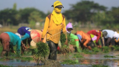 Terhambat Kredit Macet, Banyak Petani, Nelayan dan UMKM Terlilit Pinjol