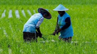 Wamenkop Sebut Tidak Semua Petani, Nelayan dan UMKM Dapat Pemutihan Utang: Kriteria Sedang Dibahas