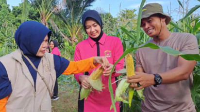 Dukung Program Ketahanan Pangan, Polres Palopo dan Bhayangkari Panen Sayur P2L